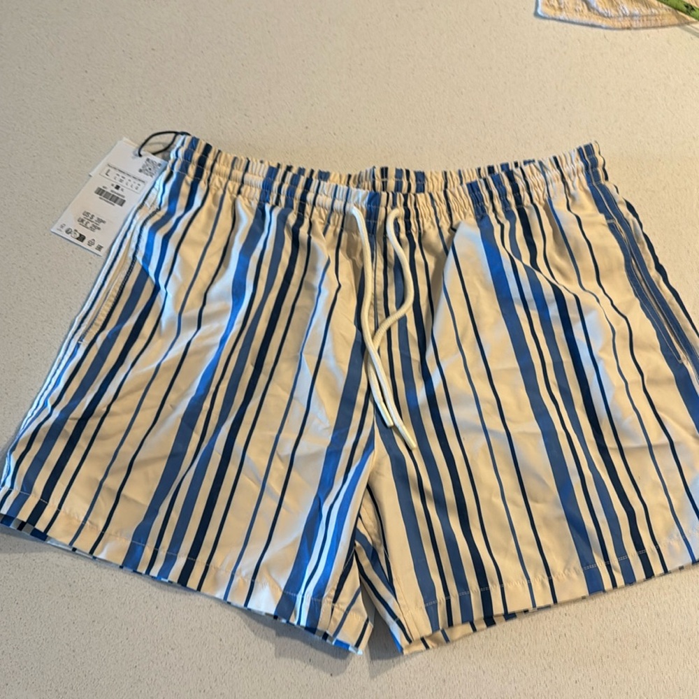 Zara Swim Shorts